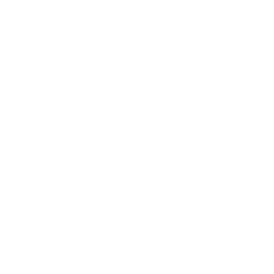 Fundamentals, Mindset & Business Development